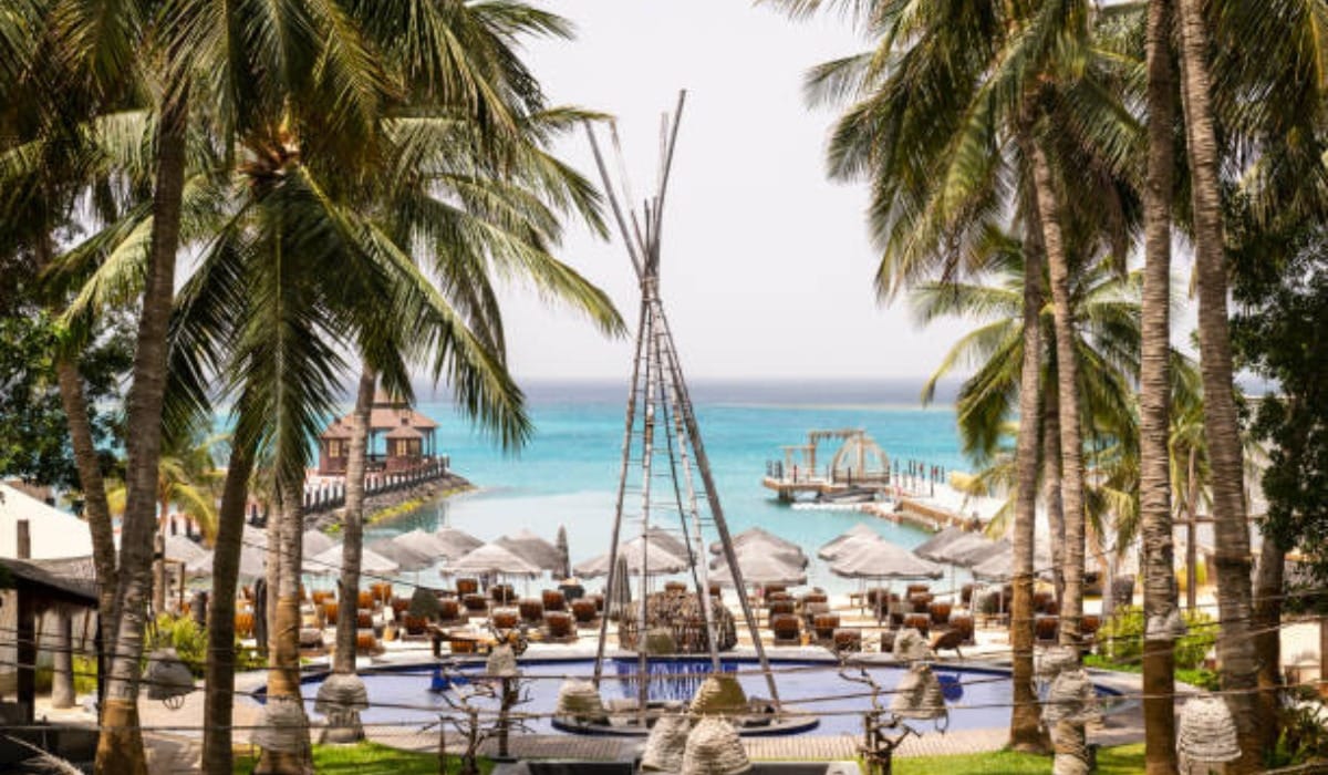 Best Time to Visit Saudi Arabia