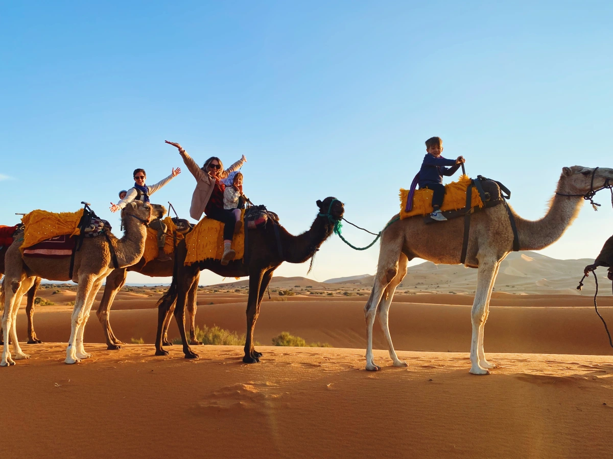 Saudi Arabia Adventure Tours