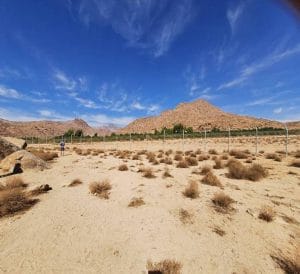 Tabuk Heritage Landscapes Tour