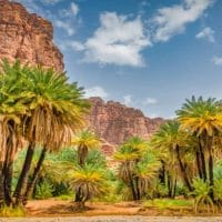 Tabuk Nature Tour Saudi Arabia