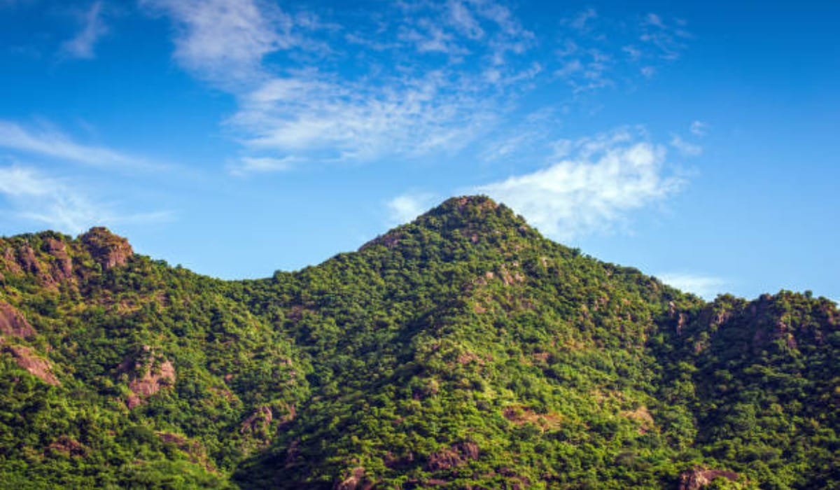 Top Cultural Attractions in Saudi Arabia