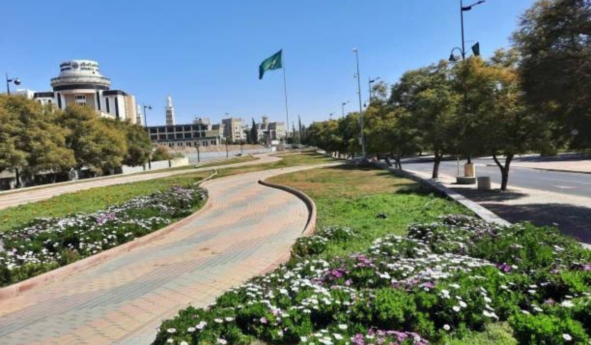 A stunning sight of the large Saudi Arabian