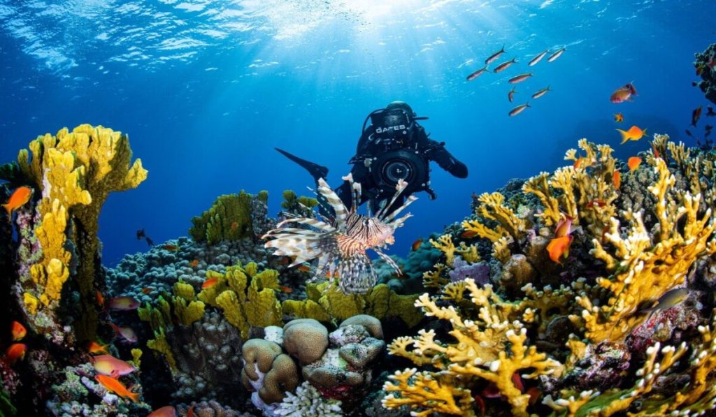 Red Sea Saudi Arabia luxury